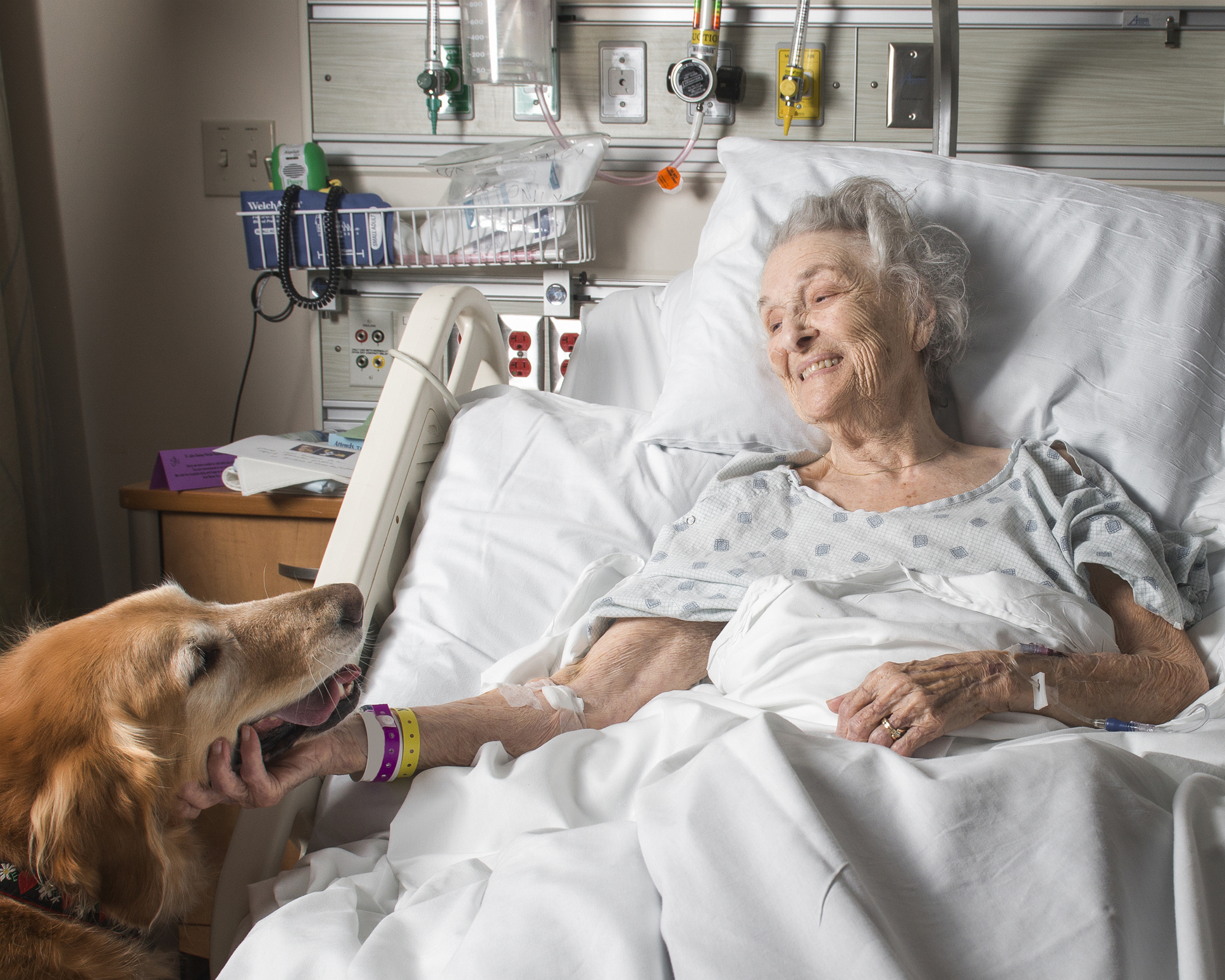 Animal-Assisted Therapy - Northwest Community Healthcare