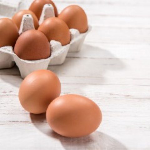 Everything you wanted to know about eggs and were afraid to ask