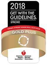 Get With The Guidelines® Stroke Gold Plus with Target: Stroke Honor Roll Elite Plus