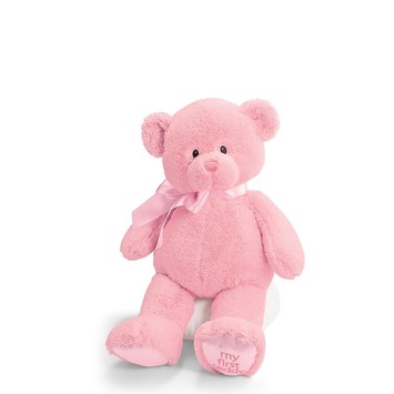 Pink GUND Bear for New Baby - Northwest Community Healthcare
